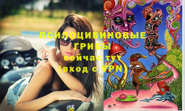 молекула духа Армянск