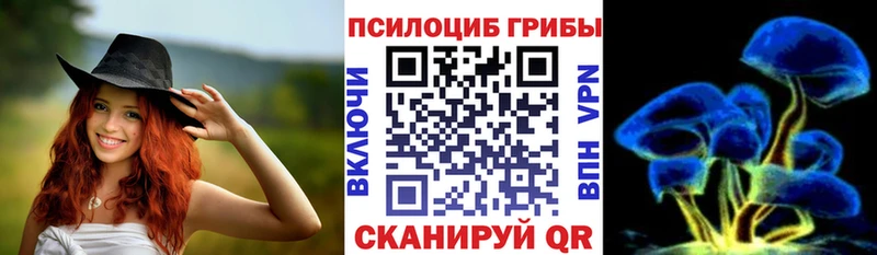 мега   Межгорье  Псилоцибиновые грибы мицелий 